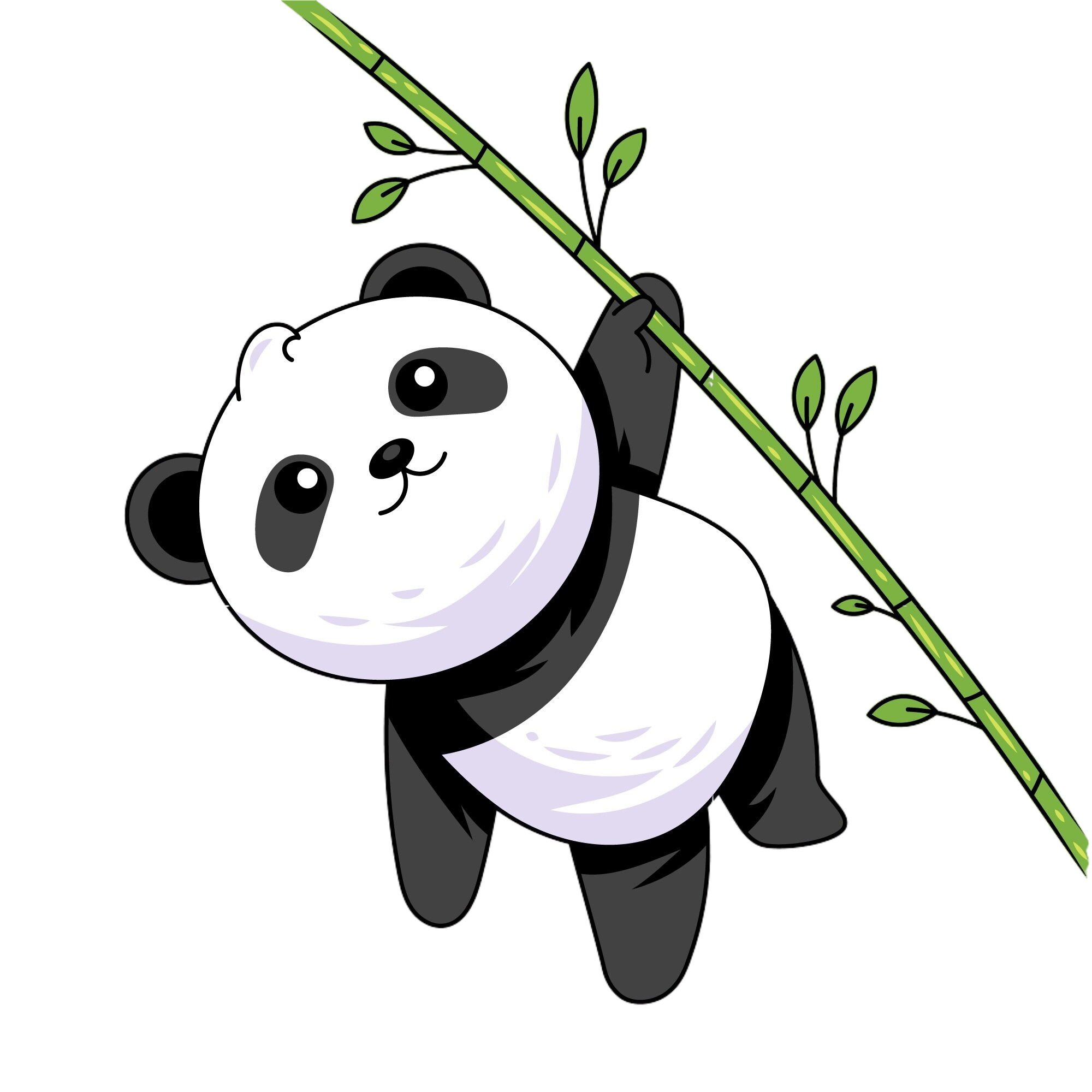 panda